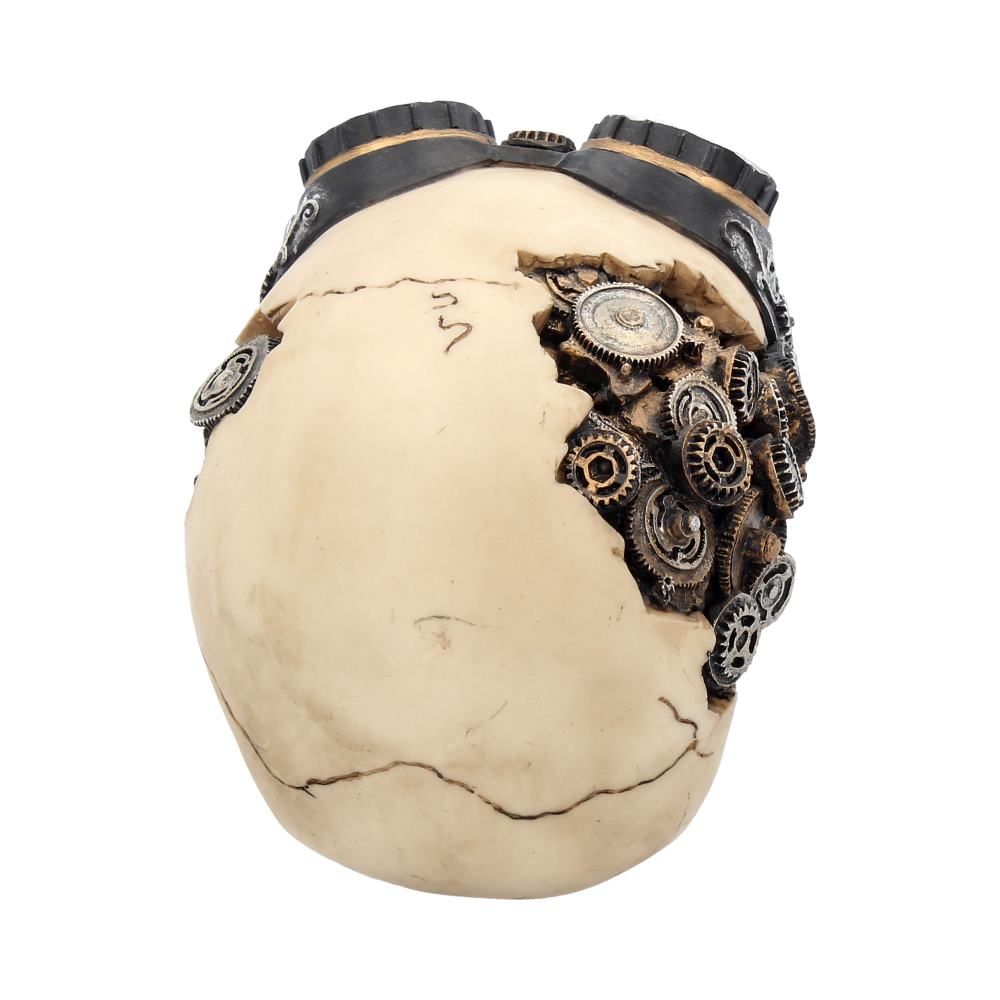 Nemesis Now - Goggles Steampunk Skull