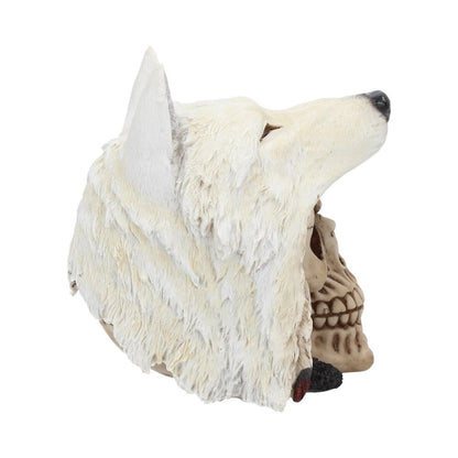 Nemesis Now - Night Wolf Skull